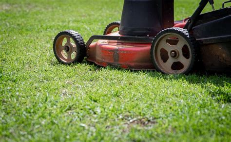 mexican lawnmower|Urban Dictionary: like a mexican on a lawn mower.